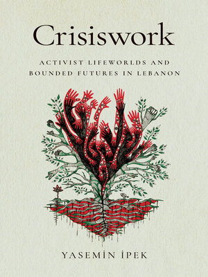 cover image of Crisiswork